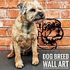 Border Terrier Wall Art (Minnie)